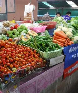 Eine der meistbesuchten Sehenswürdigkeiten in Chiang Mai.