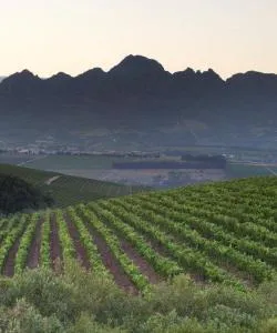 One of the most visited landmarks in Stellenbosch. 