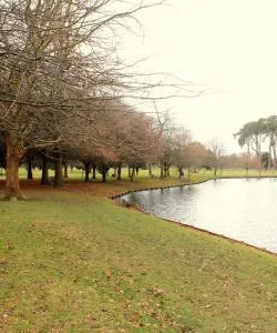 Una dintre cele mai vizitate atracții din Christchurch.
