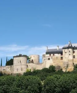 One of the most visited landmarks in Chinon. 