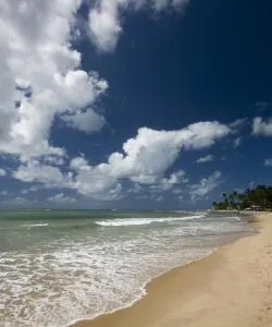 Eine der meistbesuchten Sehenswürdigkeiten in Porto De Galinhas.