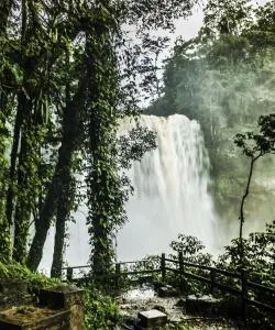 パレンケで大人気の観光スポット。
