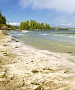One of the most visited landmarks in Tofino. 