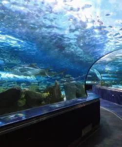 One of the most visited landmarks in Charleston. 