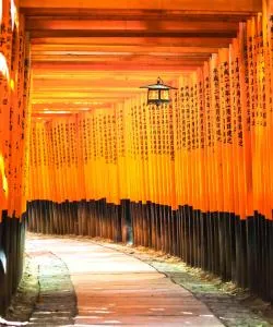 One of the most visited landmarks in Kyoto.