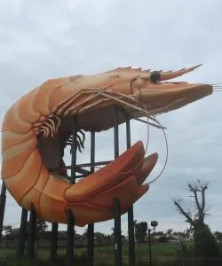 Eine der meistbesuchten Sehenswürdigkeiten in Ballina.