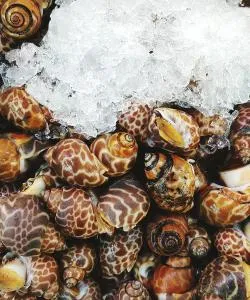 Одна из самых посещаемых достопримечательностей города Джизан.