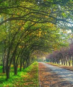 Một trong những địa danh được ghé thăm nhiều nhất ở Almaty.
