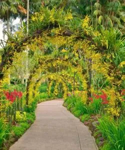 Một trong những địa danh được ghé thăm nhiều nhất ở Singapore.