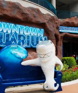 One of the most visited landmarks in Houston. 