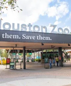 One of the most visited landmarks in Houston.