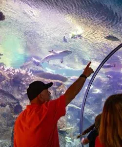 One of the most visited landmarks in Las Vegas. 