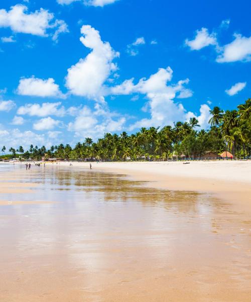 Un dels llocs d'interès més visitats a Porto de Galinhas.
