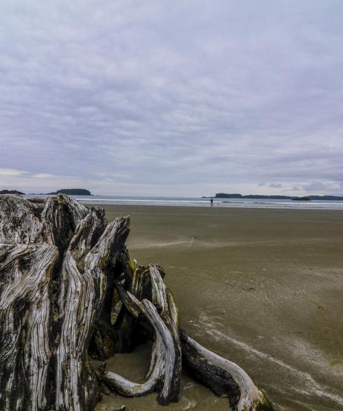 One of the most visited landmarks in Tofino. 