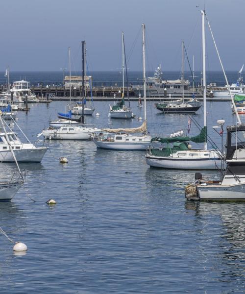 Uno de los lugares de interés más visitados de Didim.