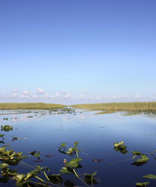 Jedno z najnavštevovanejších zaujímavých miest v destinácii Okeechobee.