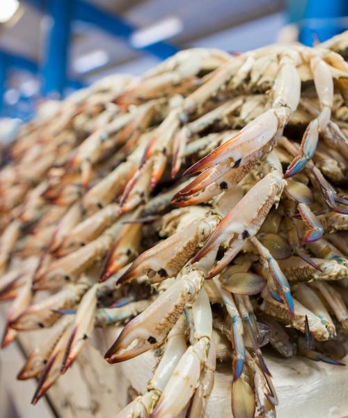 Yanbu şehrindeki en çok ziyaret edilen simge yapılardan biri. 