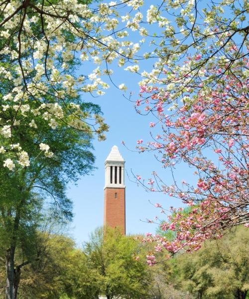 Uno de los puntos de referencia más visitados en Tuscaloosa.