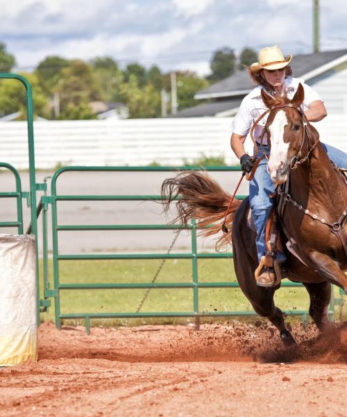 Uno de los lugares de interés más visitados de Kissimmee.