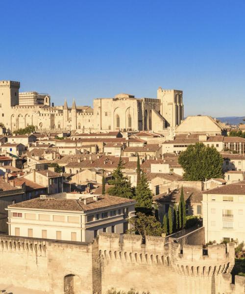 Salah satu landmark yang paling sering dikunjungi di Avignon.