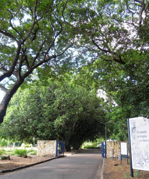 One of the most visited landmarks in Darwin. 