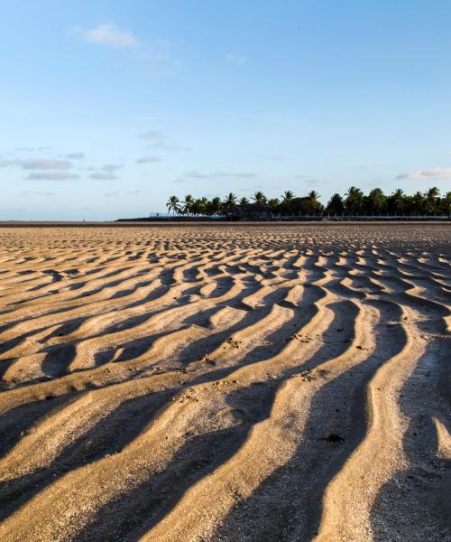 Uma das atrações mais visitadas em Porto de Galinhas