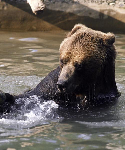 Uno dei luoghi di interesse più visitati di Pickering.