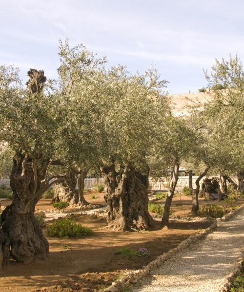One of the most visited landmarks in Jerusalem.