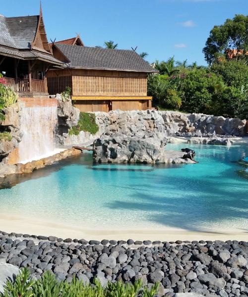 Un dels llocs d'interès més visitats a Adeje.