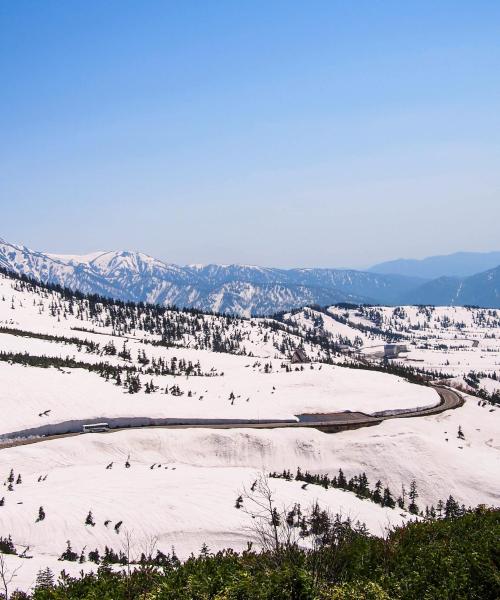 Ένα από τα πιο δημοφιλή αξιοθέατα σε Niseko. 