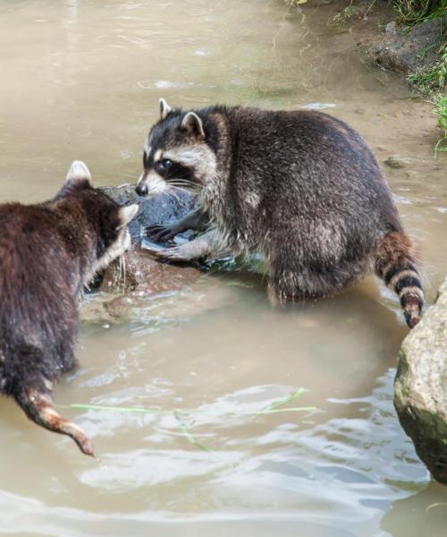 Uno dei luoghi di interesse più visitati di Gelsenkirchen.