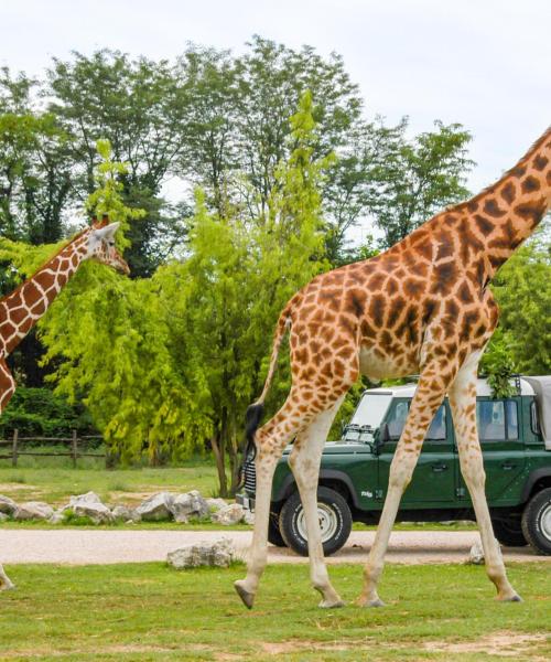 Uno dei luoghi di interesse più visitati di Lazise.