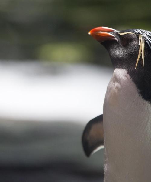 Uno de los lugares de interés más visitados de Pantai Cenang.