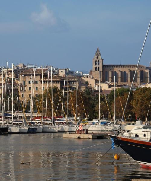 One of the most visited landmarks in Palma de Mallorca.