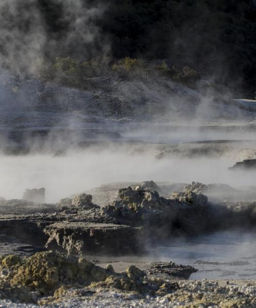 Salah satu mercu tanda yang paling dikunjungi di Rotorua.