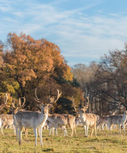 Uno de los lugares de interés más visitados de Shrewsbury.