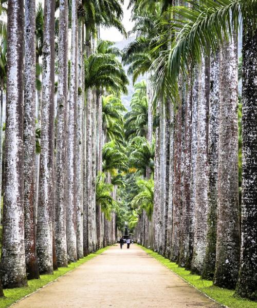 Uno de los lugares de interés más visitados de Río de Janeiro.