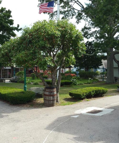 One of the most visited landmarks in Mystic.