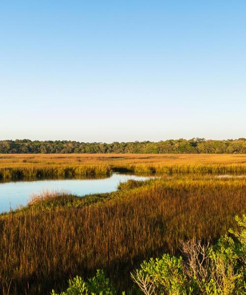 Uno de los lugares de interés más visitados de Fernandina Beach.