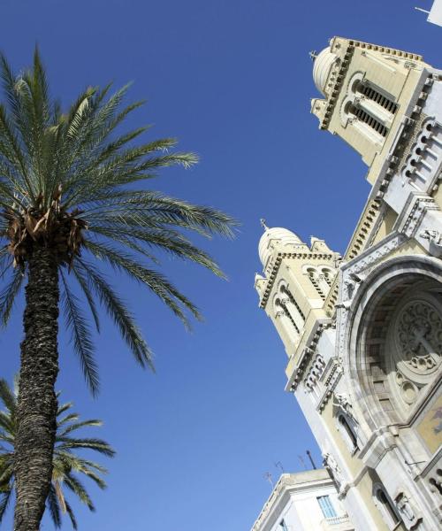 One of the most visited landmarks in Tunis. 