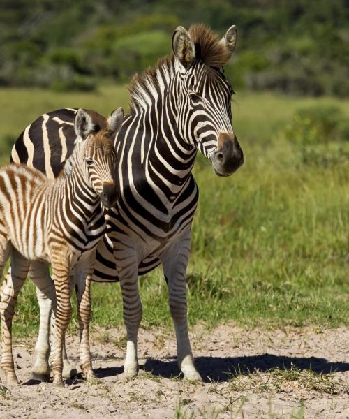 Uno dei luoghi di interesse più visitati di Durban.