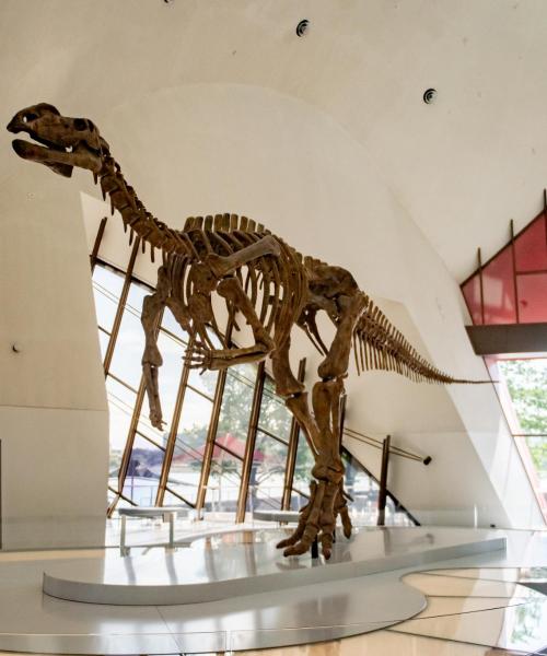 One of the most visited landmarks in Canberra.