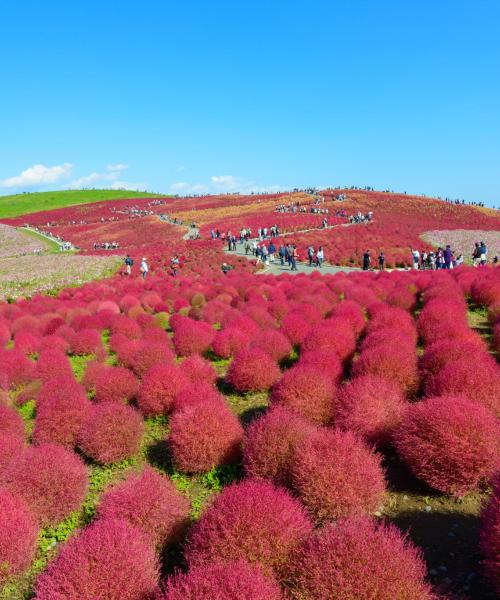 One of the most visited landmarks in Hitachinaka.