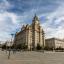 Liver Building