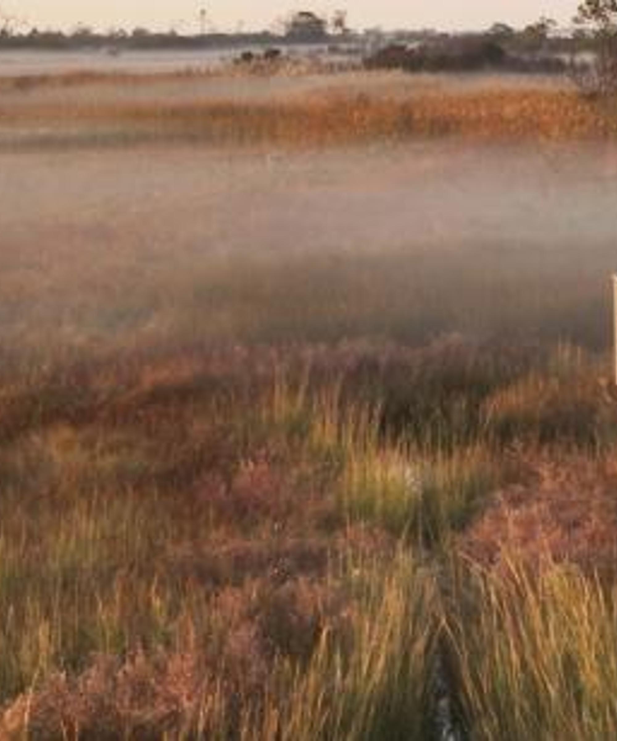 Cheap car hire in Outer Banks find and compare deals