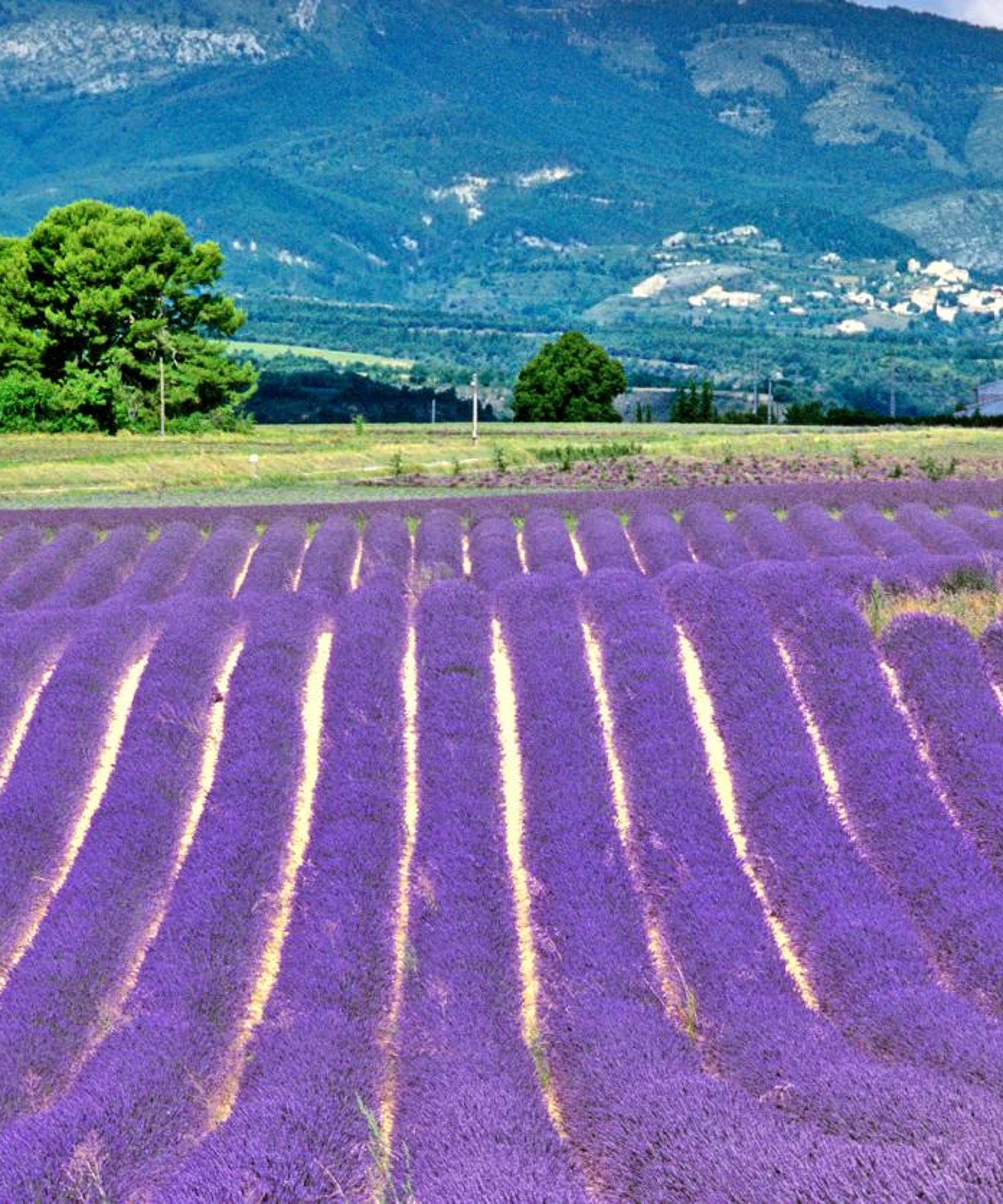 Book cheap flights to Provence – Booking.com 