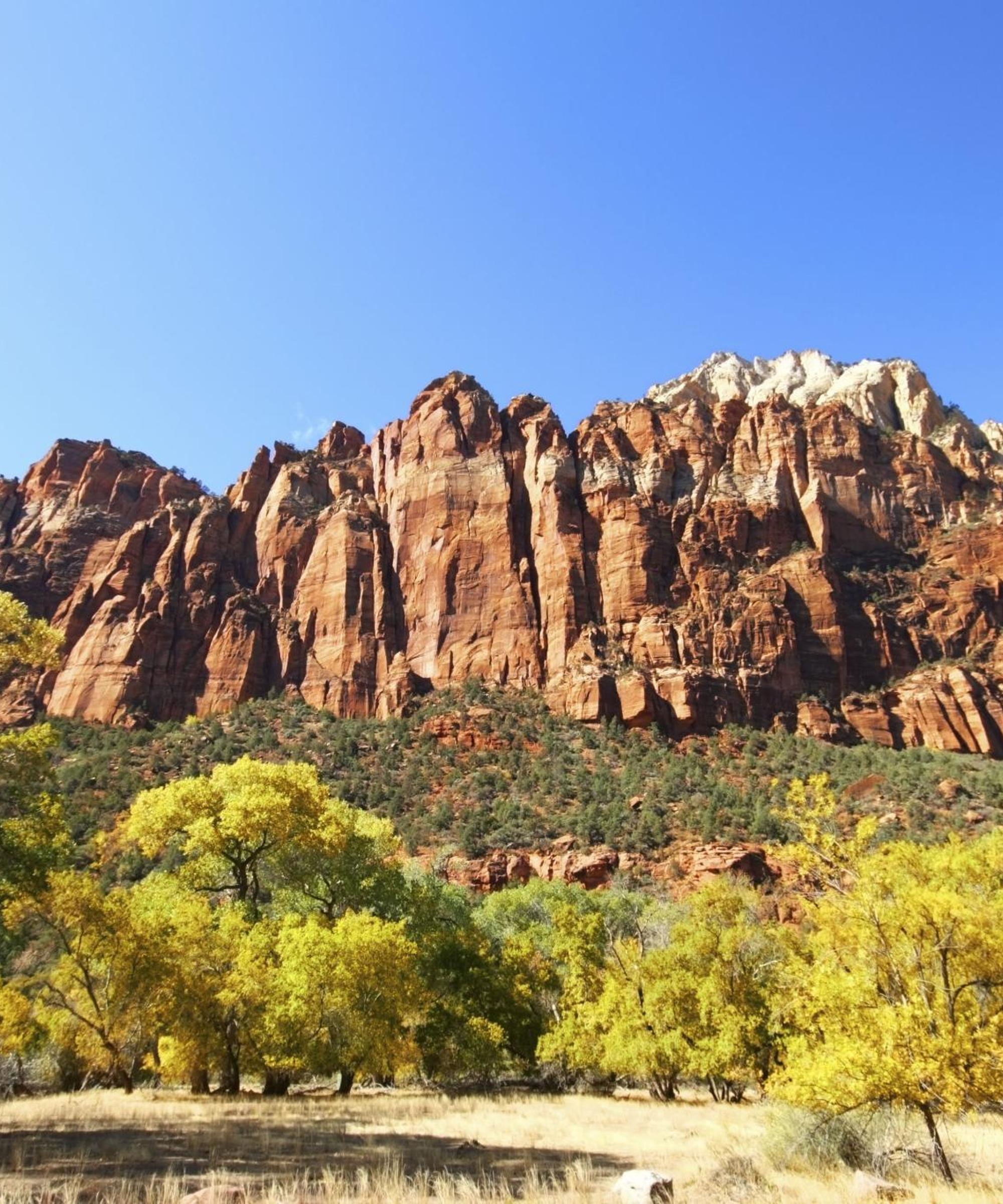 Book cheap flights to Zion National Park