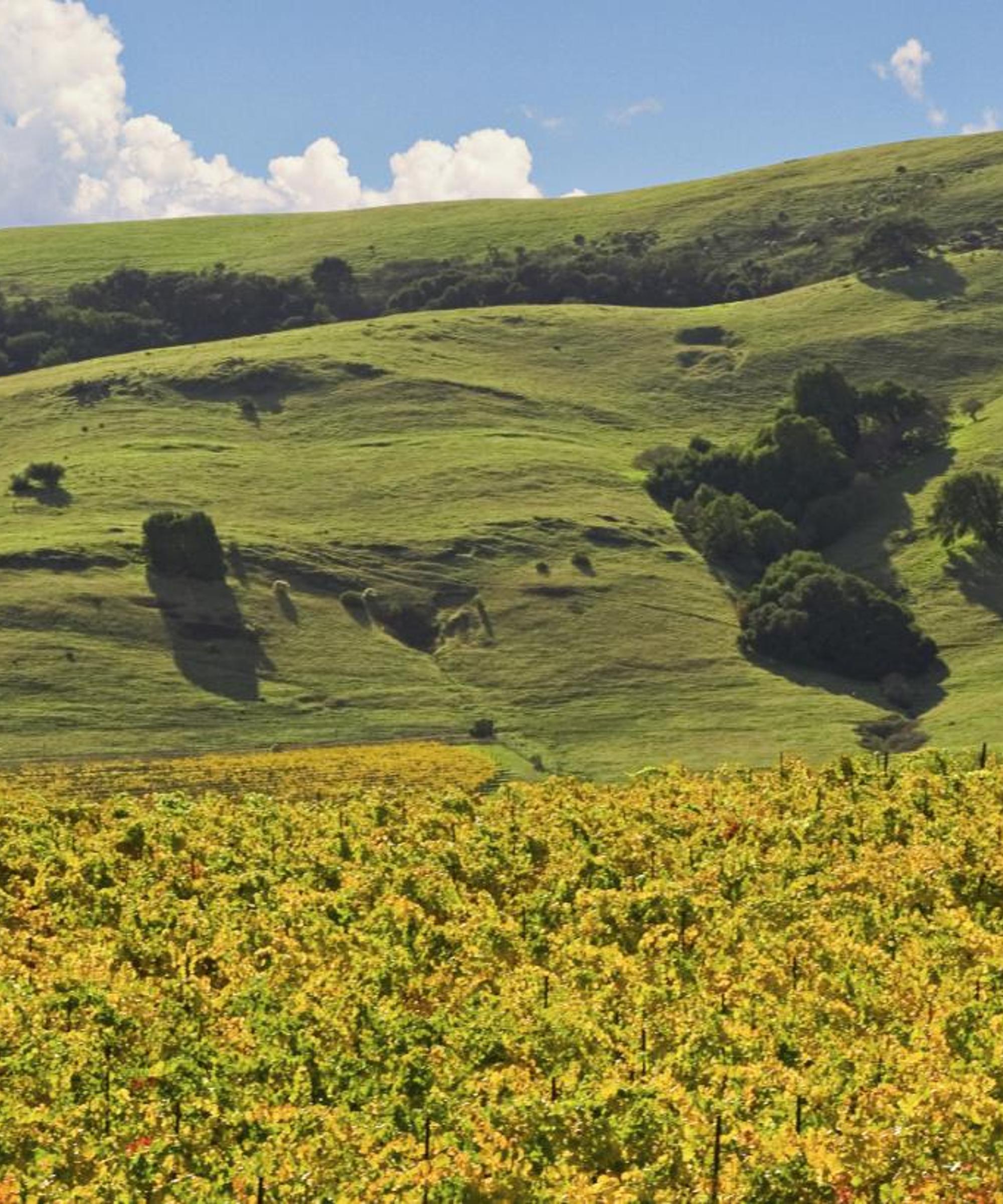 Book cheap flights to California