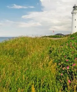 A beautiful view of Nordjylland