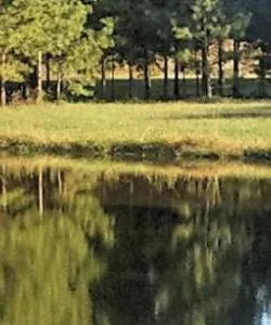 A beautiful view of Mississippi.